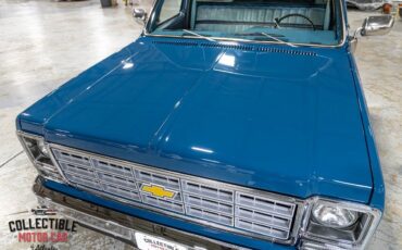 Chevrolet-C-10-1979-Pickup-Truck-32