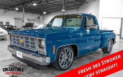 Chevrolet C-10 1979 Pickup Truck