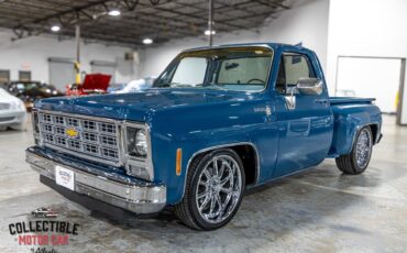 Chevrolet-C-10-1979-Pickup-Truck-8