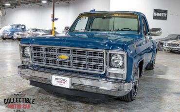 Chevrolet-C-10-1979-Pickup-Truck-9