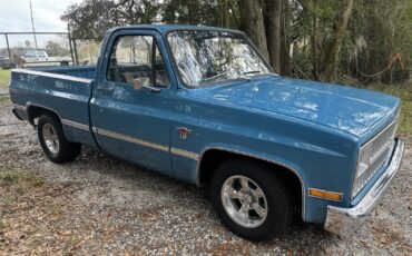 Chevrolet-C-10-1981-1