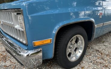 Chevrolet-C-10-1981-10