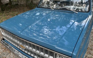 Chevrolet-C-10-1981-11