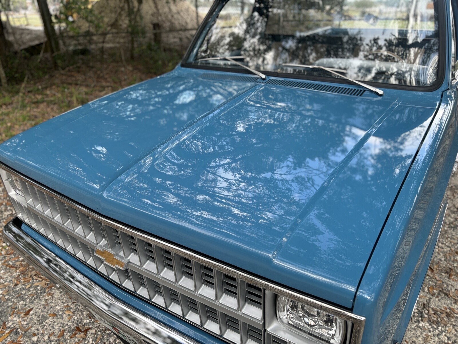 Chevrolet-C-10-1981-11