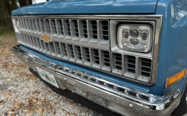 Chevrolet-C-10-1981-12