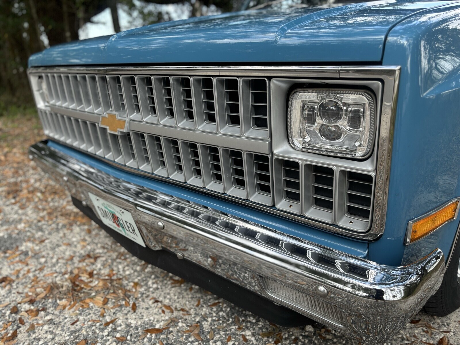 Chevrolet-C-10-1981-12