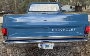 Chevrolet-C-10-1981-15