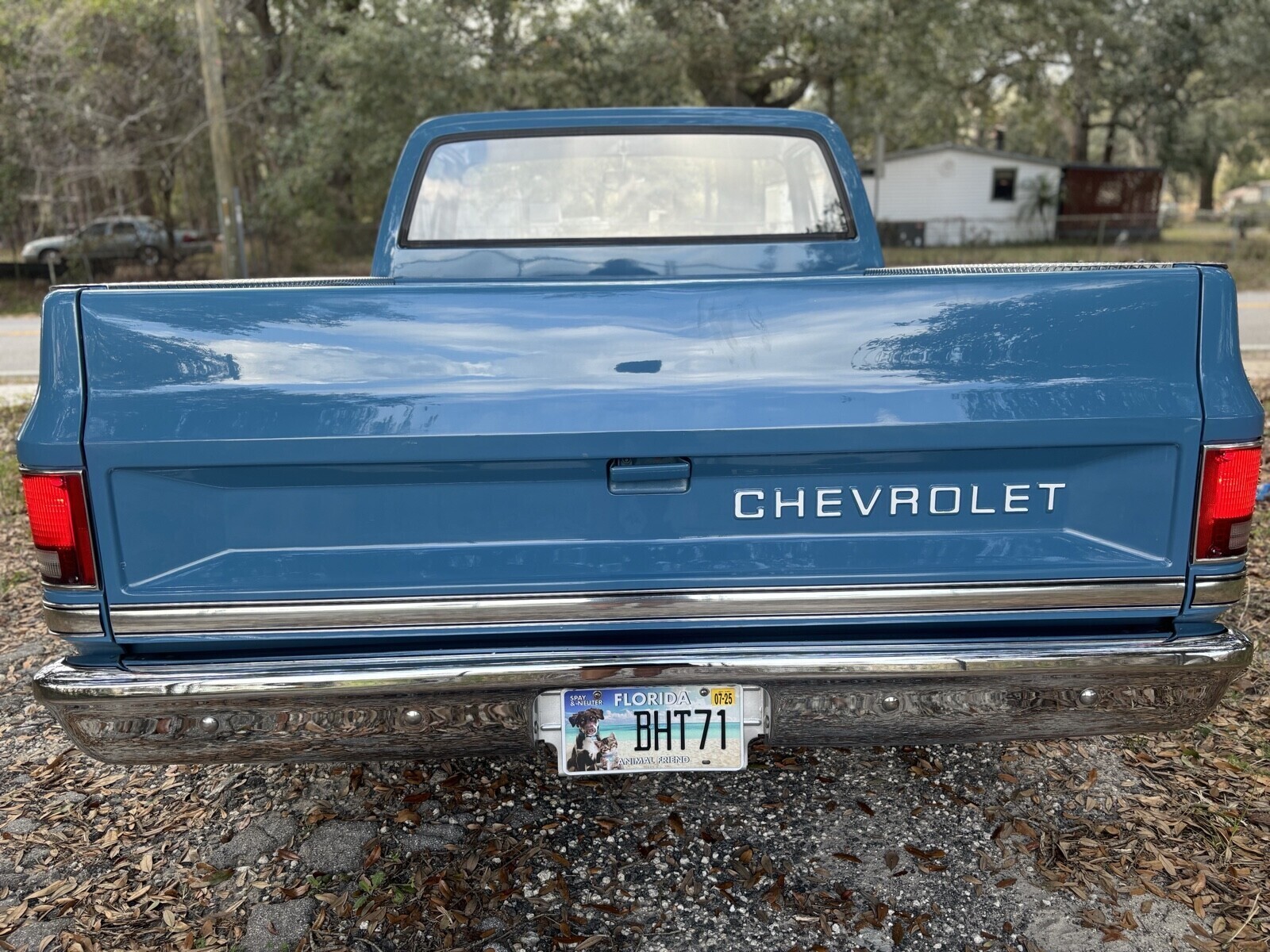 Chevrolet-C-10-1981-15