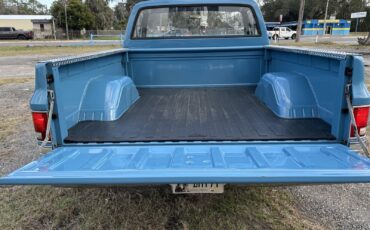 Chevrolet-C-10-1981-18