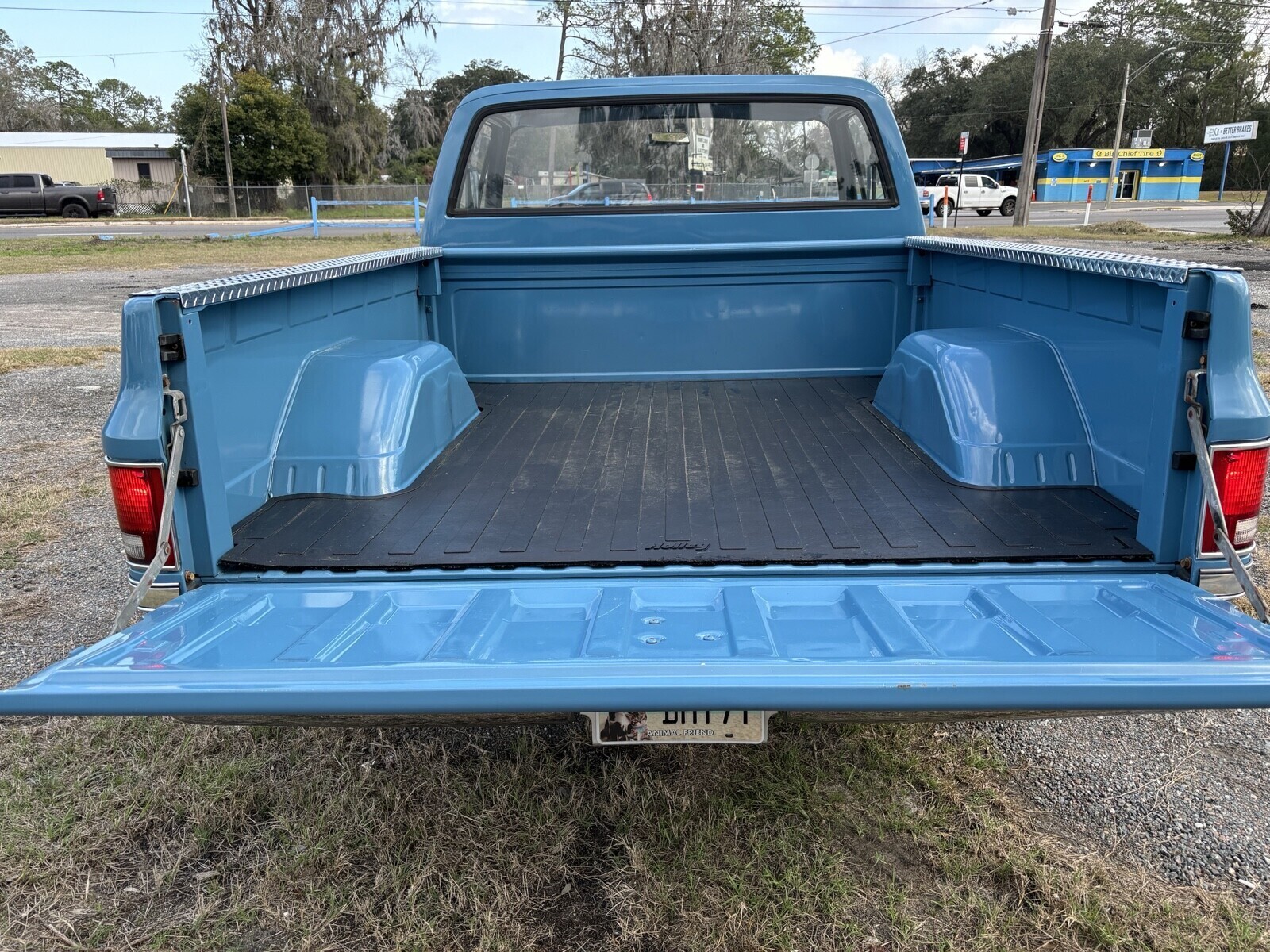 Chevrolet-C-10-1981-18