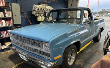 Chevrolet-C-10-1981-19