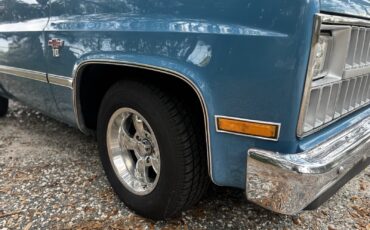 Chevrolet-C-10-1981-2