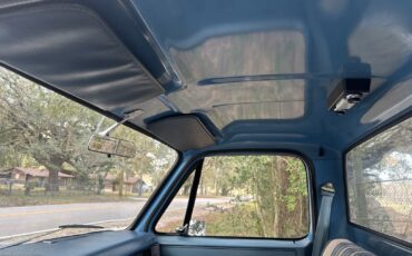 Chevrolet-C-10-1981-23