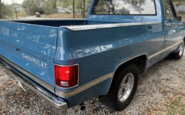 Chevrolet-C-10-1981-3
