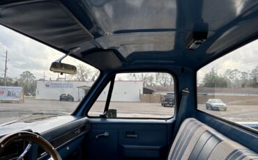 Chevrolet-C-10-1981-34