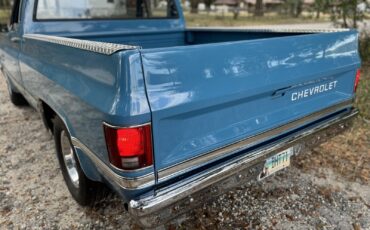 Chevrolet-C-10-1981-4