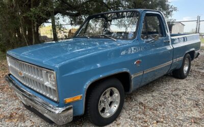 Chevrolet C-10 1981