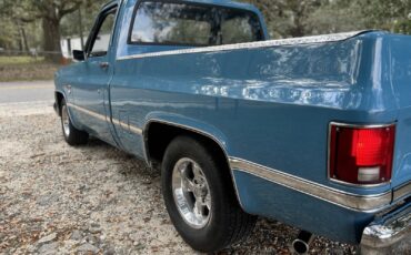 Chevrolet-C-10-1981-7