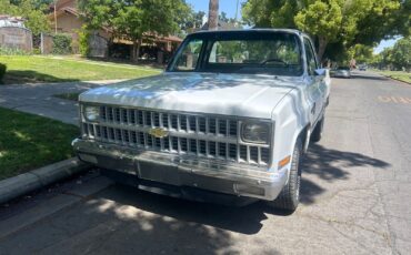 Chevrolet-C-10-1981-Standard-Cab-Pickup-1