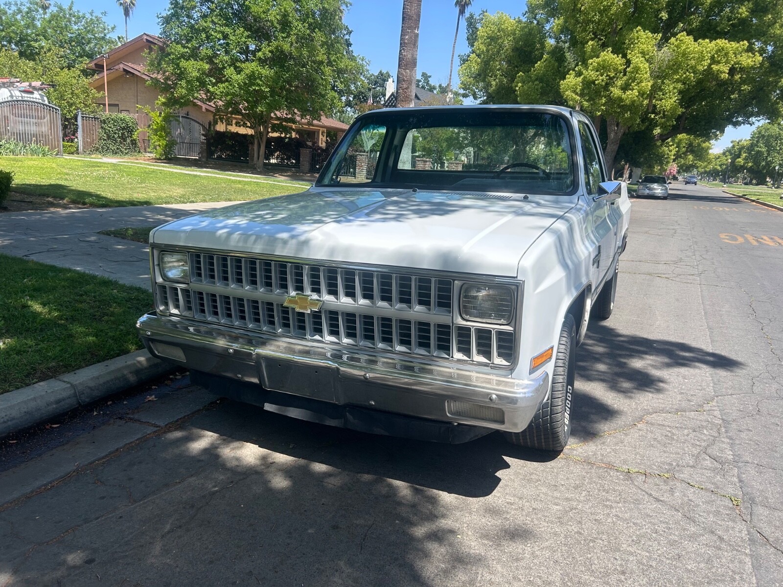 Chevrolet-C-10-1981-Standard-Cab-Pickup-1