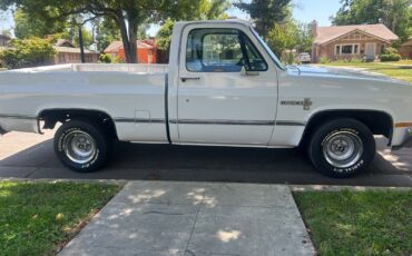 Chevrolet-C-10-1981-Standard-Cab-Pickup-10