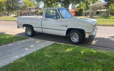 Chevrolet-C-10-1981-Standard-Cab-Pickup-11