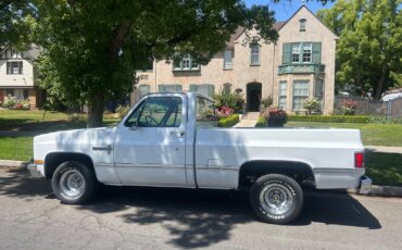 Chevrolet-C-10-1981-Standard-Cab-Pickup-12
