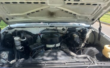 Chevrolet-C-10-1981-Standard-Cab-Pickup-13