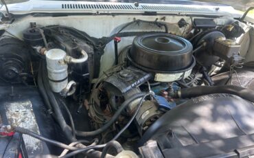 Chevrolet-C-10-1981-Standard-Cab-Pickup-14