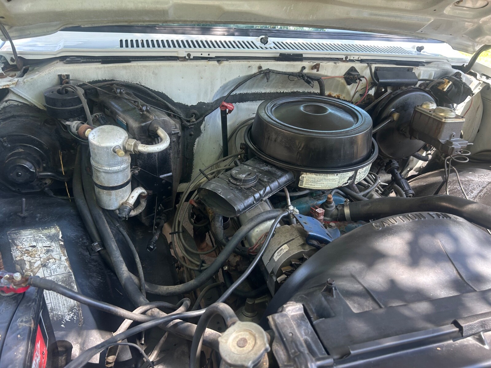 Chevrolet-C-10-1981-Standard-Cab-Pickup-14