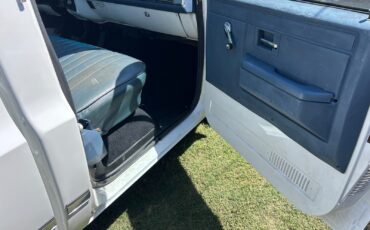 Chevrolet-C-10-1981-Standard-Cab-Pickup-19