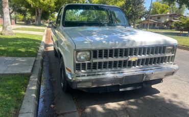 Chevrolet-C-10-1981-Standard-Cab-Pickup-2