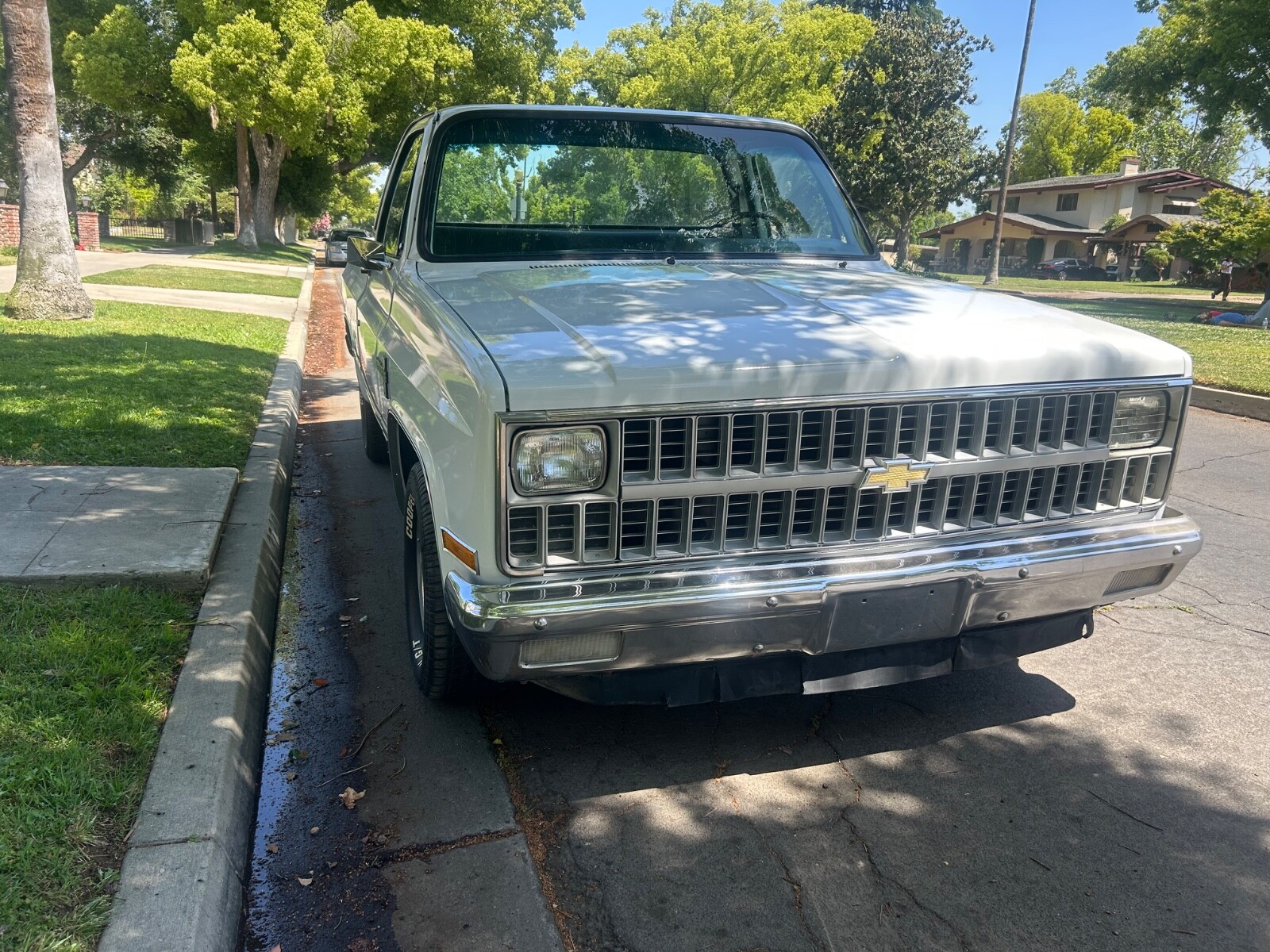 Chevrolet-C-10-1981-Standard-Cab-Pickup-2