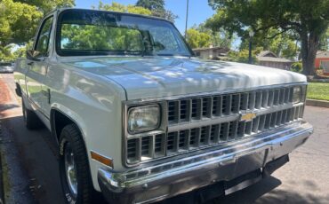 Chevrolet-C-10-1981-Standard-Cab-Pickup-3