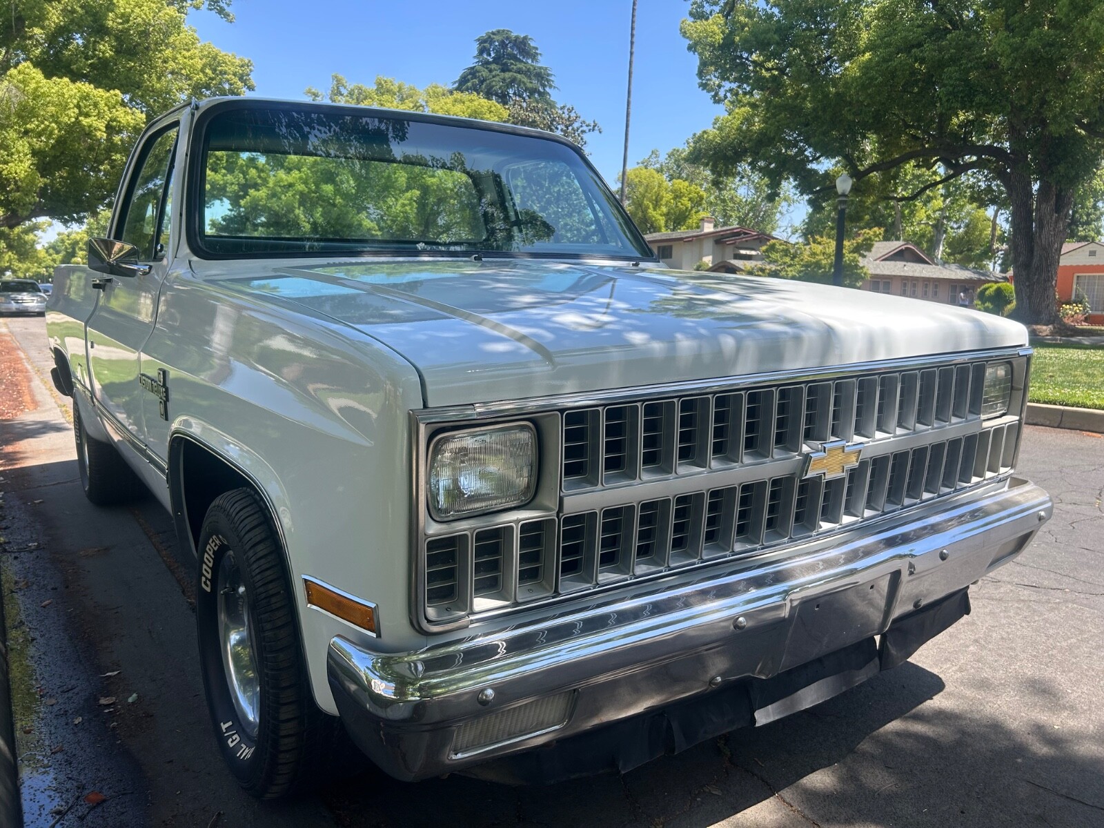 Chevrolet-C-10-1981-Standard-Cab-Pickup-3