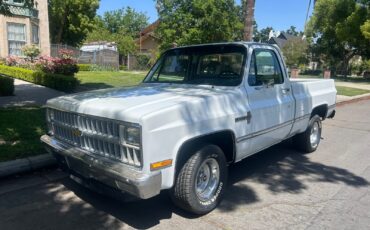 Chevrolet-C-10-1981-Standard-Cab-Pickup