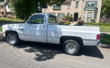 Chevrolet-C-10-1981-Standard-Cab-Pickup-4