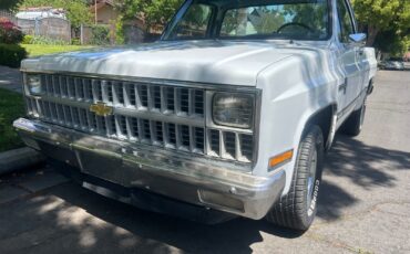 Chevrolet-C-10-1981-Standard-Cab-Pickup-5