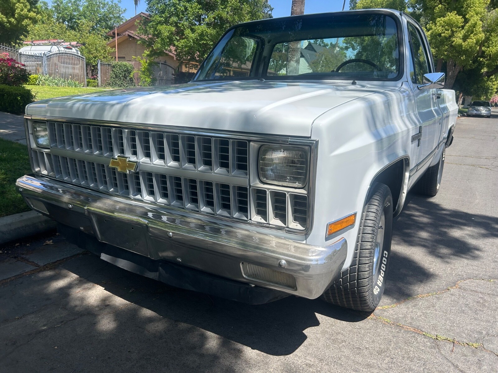 Chevrolet-C-10-1981-Standard-Cab-Pickup-5