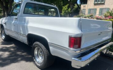 Chevrolet-C-10-1981-Standard-Cab-Pickup-8