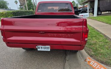 Chevrolet-C-10-1982-Standard-Cab-Pickup-4