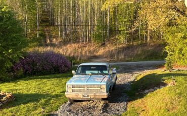Chevrolet-C-10-1983-blue-12