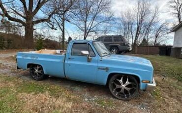 Chevrolet-C-10-1983-blue-14