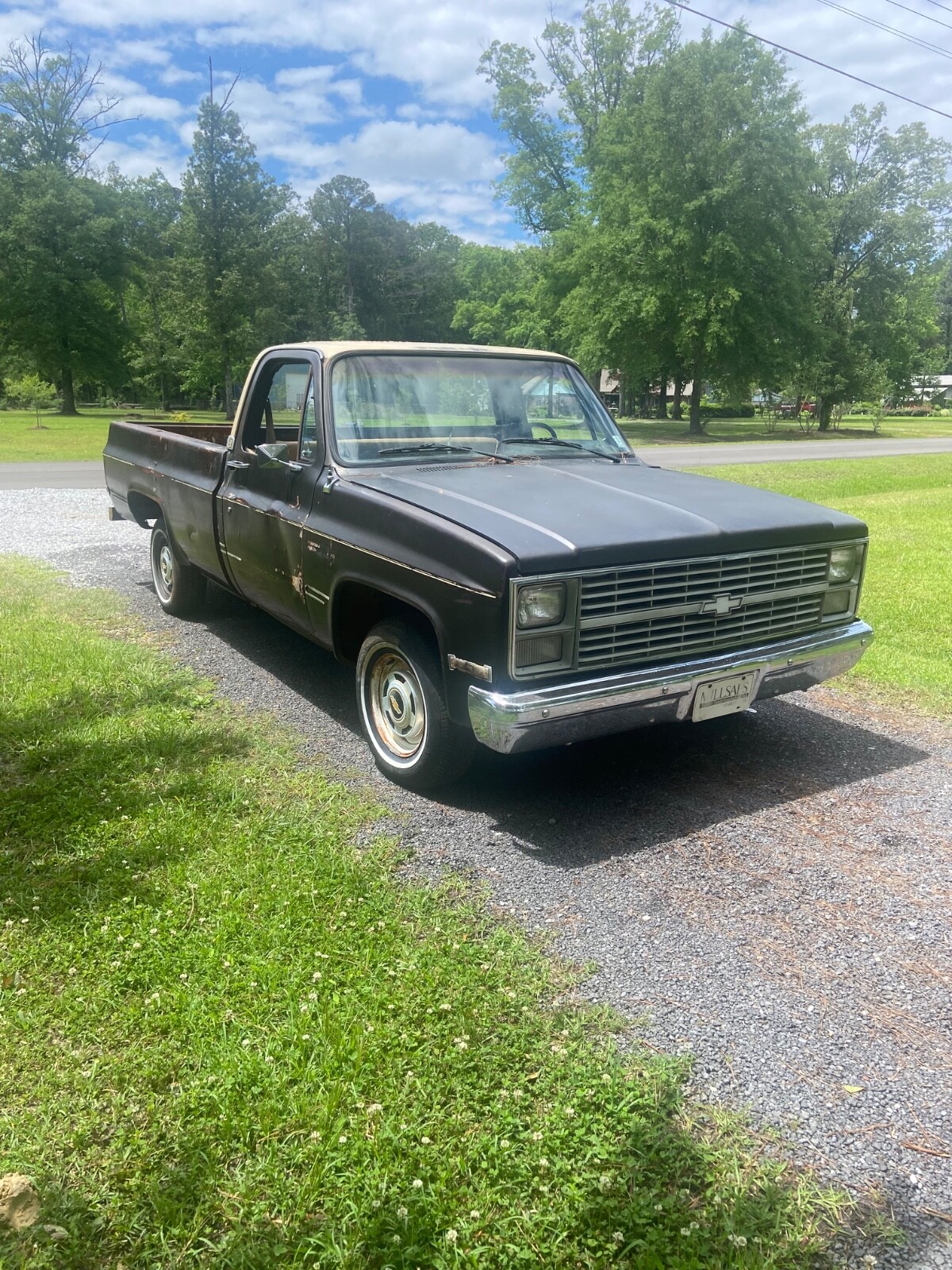 Chevrolet-C-10-1984-1