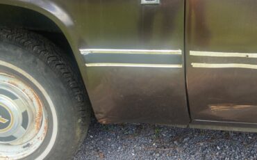 Chevrolet-C-10-1984-10