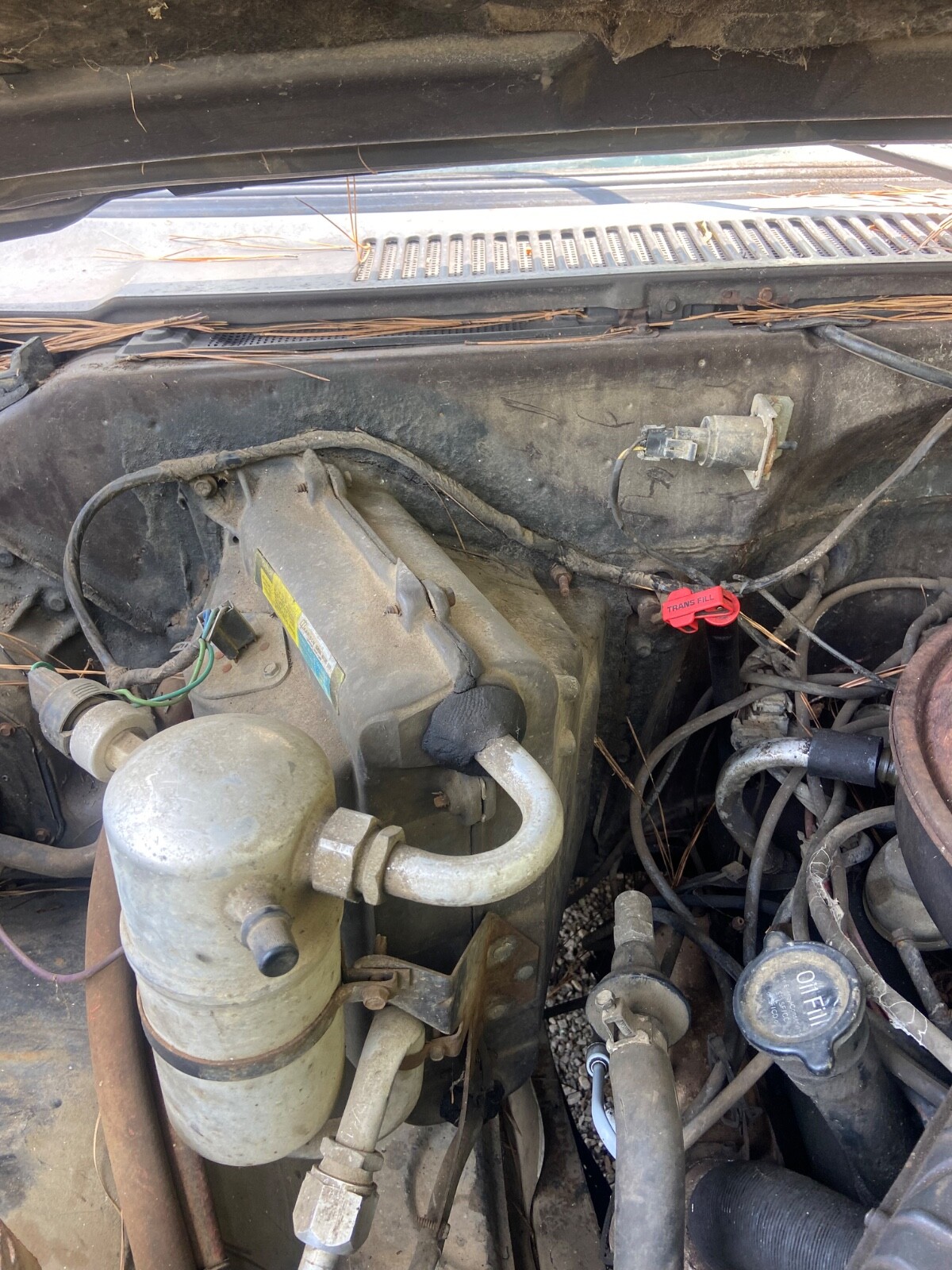 Chevrolet-C-10-1984-16