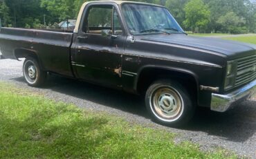 Chevrolet-C-10-1984-5