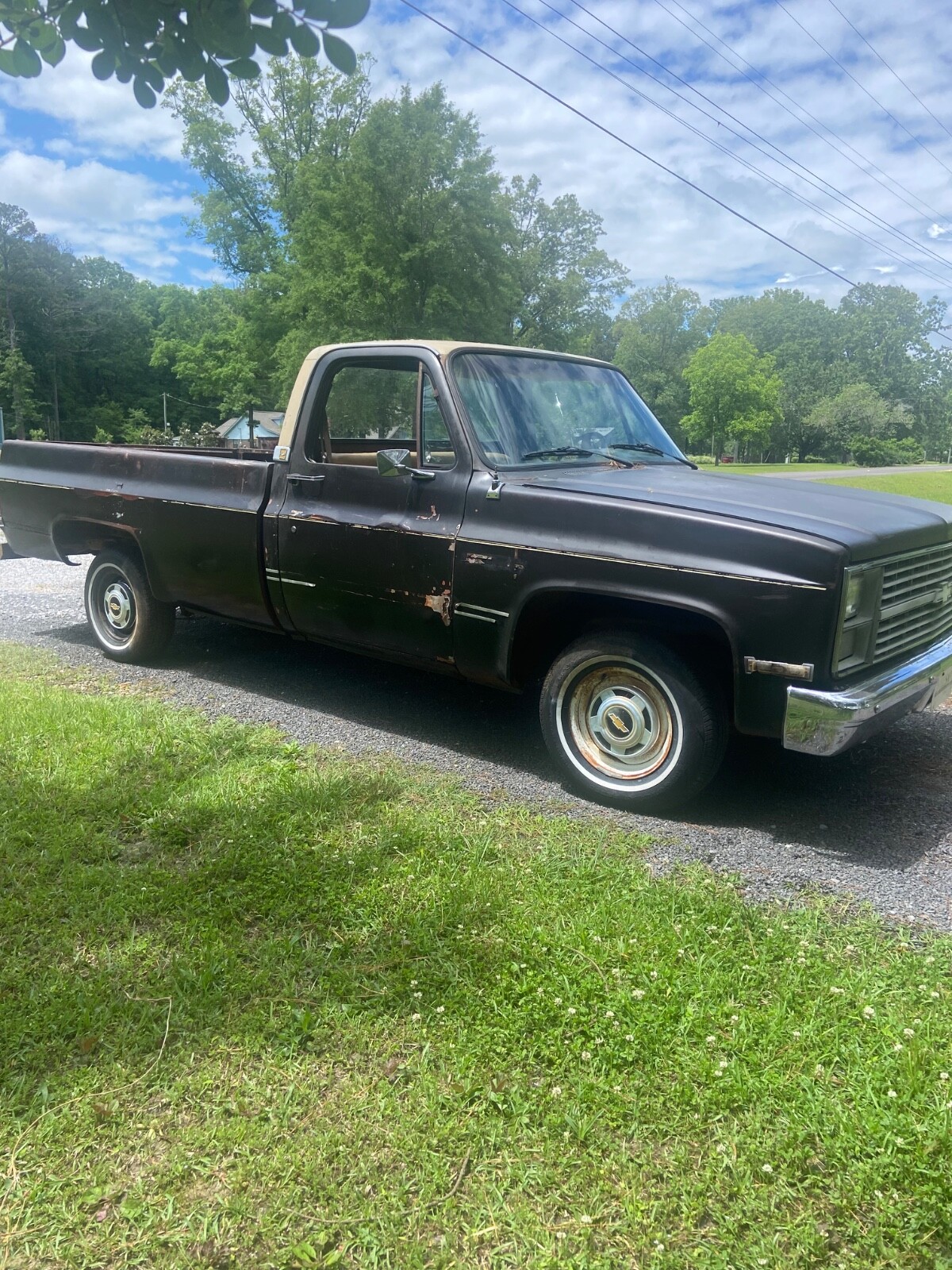 Chevrolet-C-10-1984-5