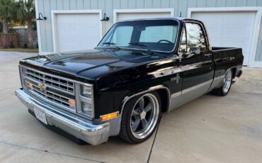 Chevrolet-C-10-1984-Standard-Cab-Pickup-11