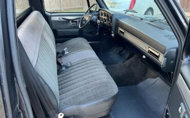 Chevrolet-C-10-1984-Standard-Cab-Pickup-12